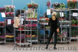 Тележки(тролли) для цветов и рассады - <ro>Изображение</ro><ru>Изображение</ru> #1, <ru>Объявление</ru> #867995