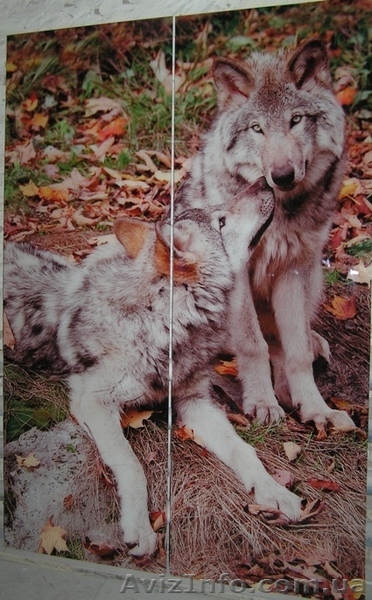 Экологически чистая фотопечать-ламинат для фасадов шкафов-купе. - <ro>Изображение</ro><ru>Изображение</ru> #1, <ru>Объявление</ru> #873377