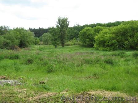 Продажа земельный участок 80сот, свой берег, лес,газ. - <ro>Изображение</ro><ru>Изображение</ru> #1, <ru>Объявление</ru> #900372