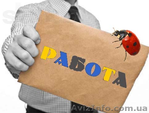 Нужен логист. Грузоперевозки. На дому - <ro>Изображение</ro><ru>Изображение</ru> #1, <ru>Объявление</ru> #907144