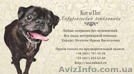 Ветеринарная клиника Днепропетровск. Вакцинация стерилизация кастрация хирургия  - <ro>Изображение</ro><ru>Изображение</ru> #1, <ru>Объявление</ru> #898024