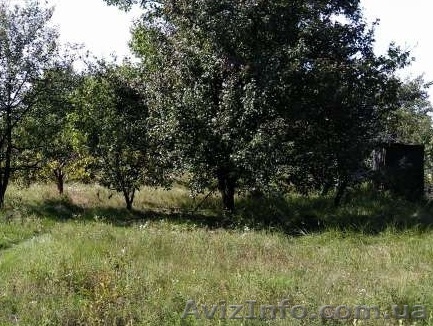 Продам дачу, земельный участок, 6 соток - <ro>Изображение</ro><ru>Изображение</ru> #1, <ru>Объявление</ru> #924747