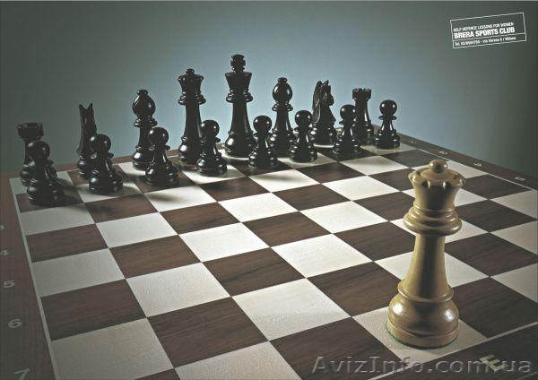                       Это свобода  - <ro>Изображение</ro><ru>Изображение</ru> #1, <ru>Объявление</ru> #935253