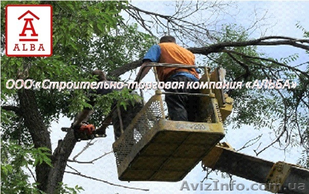 Подготовительные работы от СТК «АЛЬБА» - <ro>Изображение</ro><ru>Изображение</ru> #1, <ru>Объявление</ru> #865479