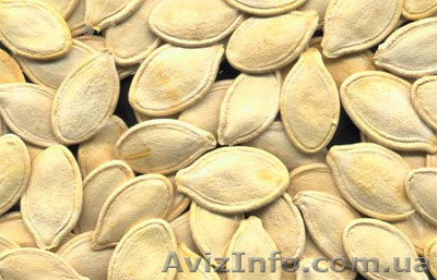  Продам - Тыквенную семечку - <ro>Изображение</ro><ru>Изображение</ru> #1, <ru>Объявление</ru> #940416