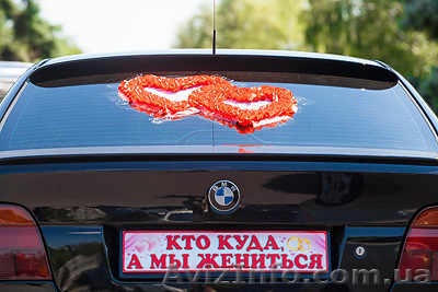 Свадебный фотограф не дорого в Днепропетровске. - <ro>Изображение</ro><ru>Изображение</ru> #1, <ru>Объявление</ru> #974206