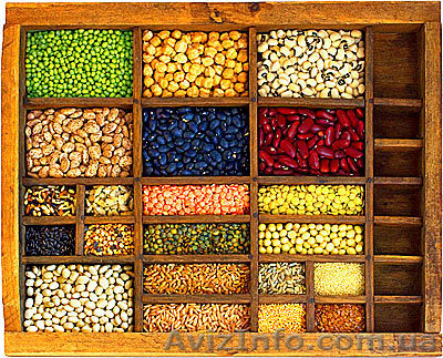 Закупаем рапс, сою, подсолнечник, ячмень, пшеница, овес, кукуруза, гречка, просо - <ro>Изображение</ro><ru>Изображение</ru> #1, <ru>Объявление</ru> #969440