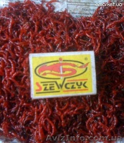 Продам МОТЫЛЬ ОПТОМ - <ro>Изображение</ro><ru>Изображение</ru> #1, <ru>Объявление</ru> #987727