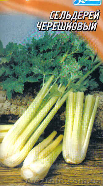 семена сельдерей черешковый - <ro>Изображение</ro><ru>Изображение</ru> #1, <ru>Объявление</ru> #1000194