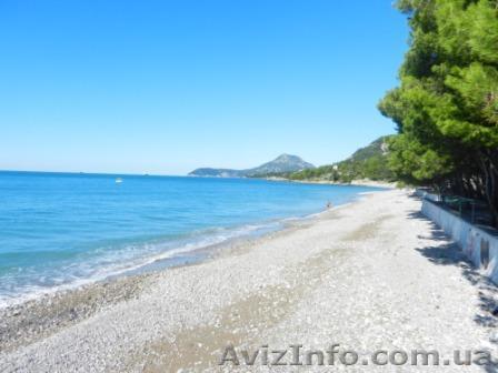 Отдых в Черногории! - <ro>Изображение</ro><ru>Изображение</ru> #1, <ru>Объявление</ru> #1048341