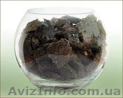 жмых подсолнечный низкопротеиновый - <ro>Изображение</ro><ru>Изображение</ru> #1, <ru>Объявление</ru> #1049707