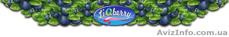 Черничная паста «LiQberry»™ в Днепропетровске - <ro>Изображение</ro><ru>Изображение</ru> #1, <ru>Объявление</ru> #1055361