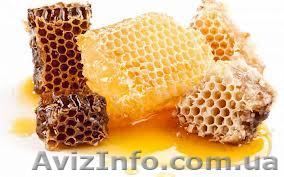 куплю мед натуральний - <ro>Изображение</ro><ru>Изображение</ru> #1, <ru>Объявление</ru> #1065449