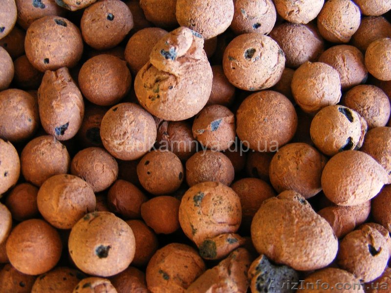 Керамзит (Сад камня) - <ro>Изображение</ro><ru>Изображение</ru> #1, <ru>Объявление</ru> #1072146