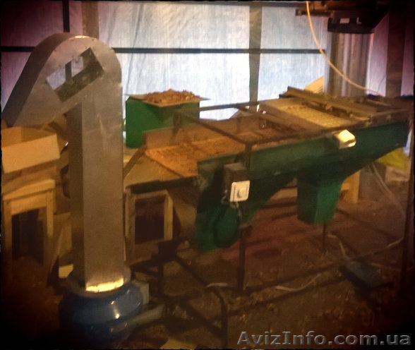 Орех грецкий переработка, орехокол, полный цикл - <ro>Изображение</ro><ru>Изображение</ru> #1, <ru>Объявление</ru> #1068566