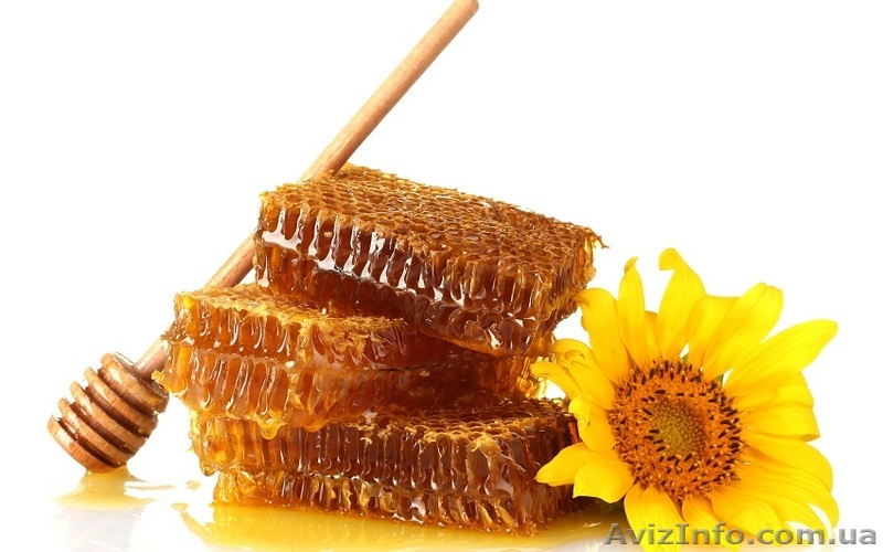 куплю мед оптом  - <ro>Изображение</ro><ru>Изображение</ru> #1, <ru>Объявление</ru> #1098997