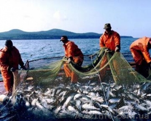 Речная рыба и море продукты - <ro>Изображение</ro><ru>Изображение</ru> #1, <ru>Объявление</ru> #1099024