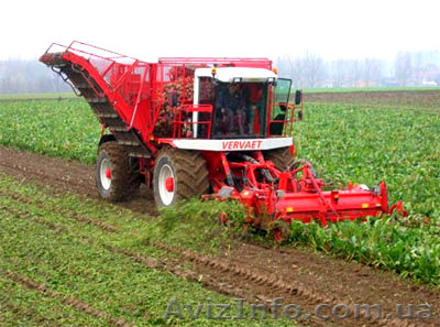 Предлагаю услуги по уборке сахарного буряка - <ro>Изображение</ro><ru>Изображение</ru> #1, <ru>Объявление</ru> #1098829