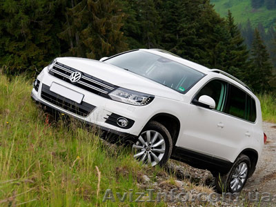 Аренда авто с водителем днепр - <ro>Изображение</ro><ru>Изображение</ru> #1, <ru>Объявление</ru> #1121622