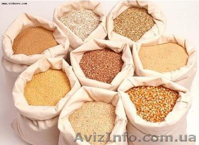 экспортёры купят paпс  пшeницу  coю  кукурузу  ячмень  подсолнечник - <ro>Изображение</ro><ru>Изображение</ru> #1, <ru>Объявление</ru> #1120388