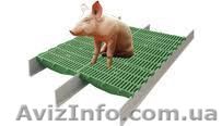пластиковые щелевые полы для содержания животных - <ro>Изображение</ro><ru>Изображение</ru> #1, <ru>Объявление</ru> #1235192