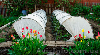 Парник 4м,6м,8м Днепропетровск - <ro>Изображение</ro><ru>Изображение</ru> #1, <ru>Объявление</ru> #1229357