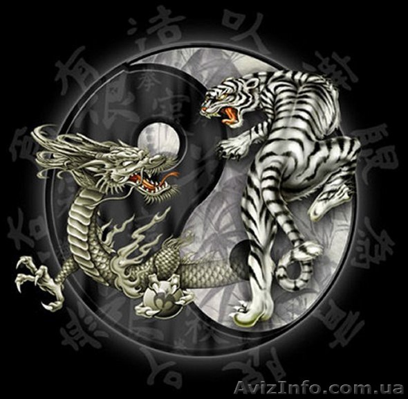 Занятия по йоге, кунг-фу, цигун - <ro>Изображение</ro><ru>Изображение</ru> #1, <ru>Объявление</ru> #1228929