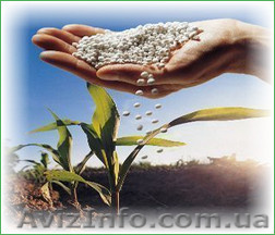 Карбамид, селитра (минудобрения), NPK по Украине и на экспорт. - <ro>Изображение</ro><ru>Изображение</ru> #1, <ru>Объявление</ru> #1246193