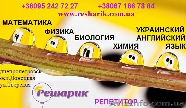 Репетитор. Индивидуальные занятия! - <ro>Изображение</ro><ru>Изображение</ru> #1, <ru>Объявление</ru> #1305218