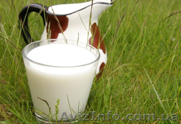 ФЕРМЕРСКОЕ МОЛОКО ОПТОМ - <ro>Изображение</ro><ru>Изображение</ru> #1, <ru>Объявление</ru> #1322266