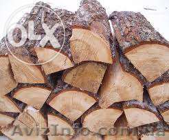 ДРОВА распродажа АКАЦИЯ 400 гр - <ro>Изображение</ro><ru>Изображение</ru> #1, <ru>Объявление</ru> #1333688