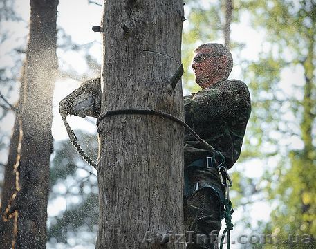 Уборка деревьев с участка - <ro>Изображение</ro><ru>Изображение</ru> #1, <ru>Объявление</ru> #1365680