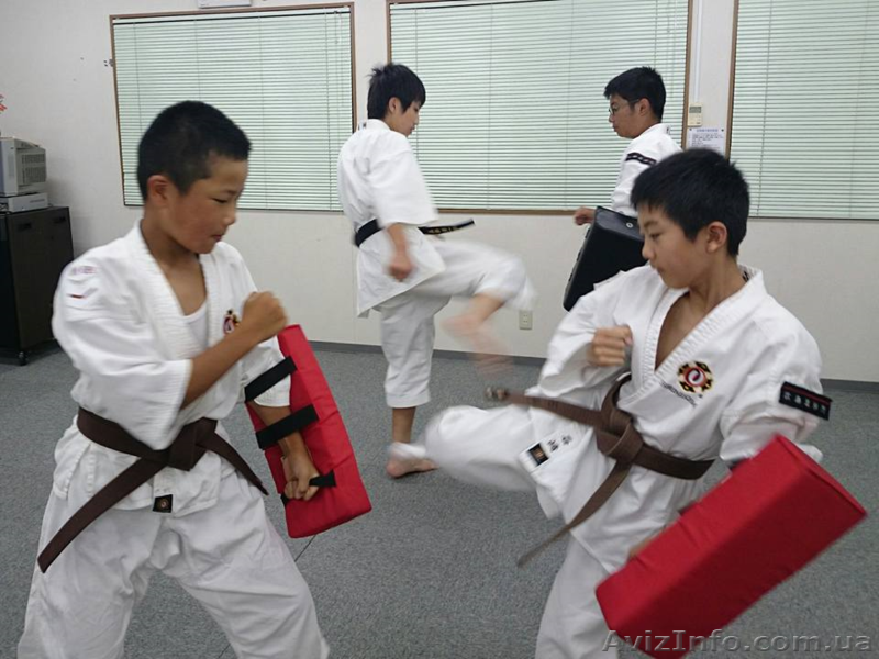 Японская система самообороны Сёриндзи Кэмпо  - <ro>Изображение</ro><ru>Изображение</ru> #1, <ru>Объявление</ru> #1363802