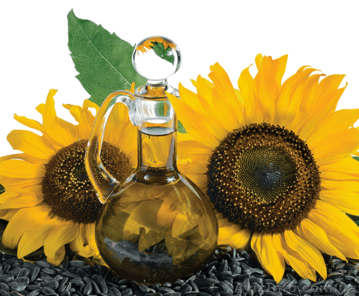 На експорт соняшникова олія - <ro>Изображение</ro><ru>Изображение</ru> #1, <ru>Объявление</ru> #1371982