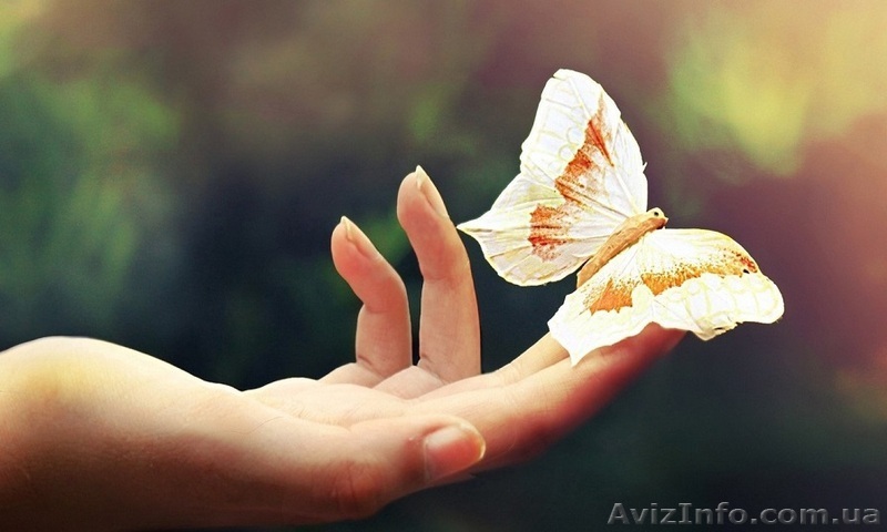 Молодость, здоровье, красота – народный целитель Веледар поможет Вам! - <ro>Изображение</ro><ru>Изображение</ru> #1, <ru>Объявление</ru> #1366543