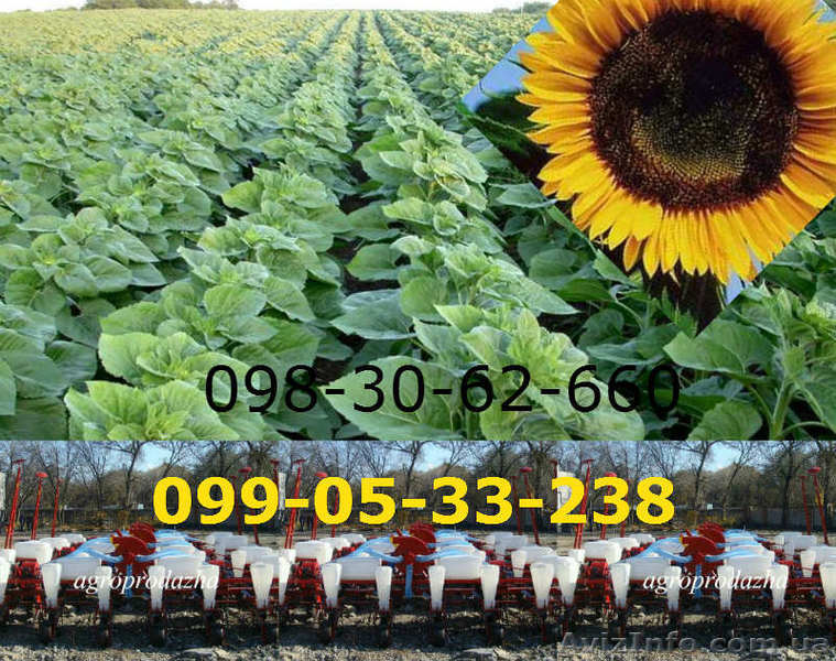 Сеялка СУПН-8 + модернизированная цена / продажа / Днепр - <ro>Изображение</ro><ru>Изображение</ru> #1, <ru>Объявление</ru> #1374254