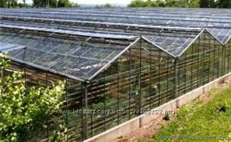 Остекление теплиц - <ro>Изображение</ro><ru>Изображение</ru> #1, <ru>Объявление</ru> #1383437
