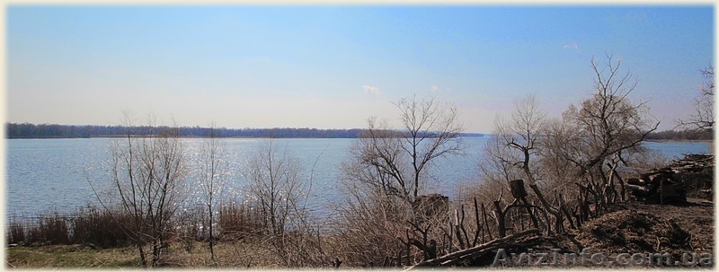 элитного много не бывает - <ro>Изображение</ro><ru>Изображение</ru> #1, <ru>Объявление</ru> #1402445