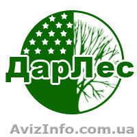 Пиломатериалы.Брус,доска,рудстойка и т.д. - <ro>Изображение</ro><ru>Изображение</ru> #1, <ru>Объявление</ru> #1409198