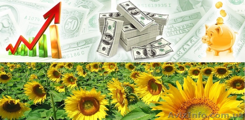 Инвестиции в действующий бизнес. - <ro>Изображение</ro><ru>Изображение</ru> #1, <ru>Объявление</ru> #1398239