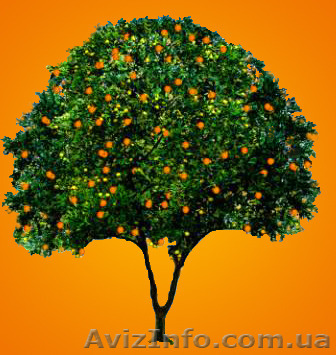 Курсы иностранных языков в Днепропетровске - <ro>Изображение</ro><ru>Изображение</ru> #1, <ru>Объявление</ru> #1453054