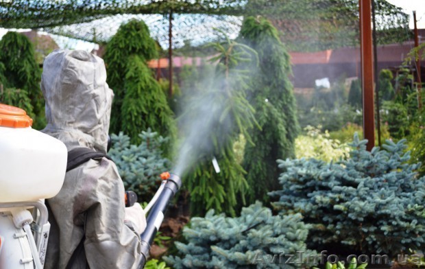 Обработка  помещений                                                             - <ro>Изображение</ro><ru>Изображение</ru> #1, <ru>Объявление</ru> #1460795