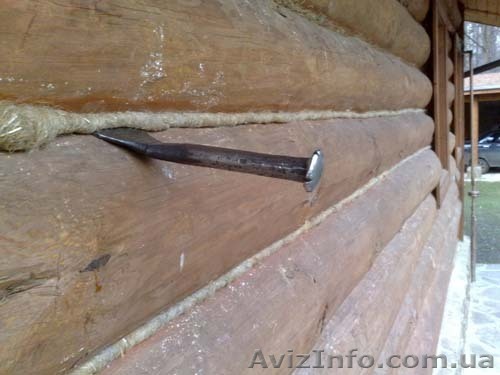 Конопатка  - <ro>Изображение</ro><ru>Изображение</ru> #1, <ru>Объявление</ru> #255288