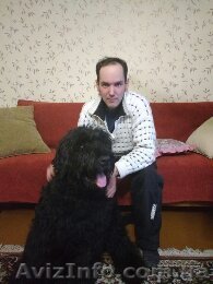 Водитель B C D категории - <ro>Изображение</ro><ru>Изображение</ru> #1, <ru>Объявление</ru> #1519749