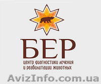 Рентген животных в Днепропетровске - <ro>Изображение</ro><ru>Изображение</ru> #1, <ru>Объявление</ru> #1515909