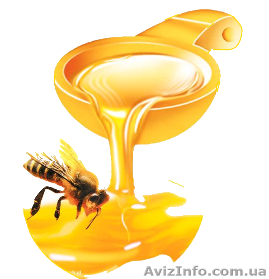 Скупаем ОПТОМ МЕД! ДОРОГО!!! - <ro>Изображение</ro><ru>Изображение</ru> #1, <ru>Объявление</ru> #1515371