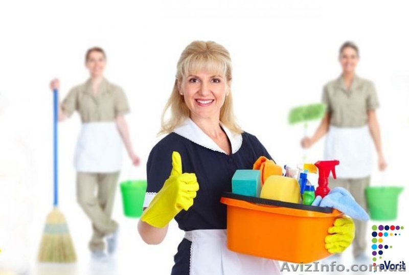 Уборка в клининговой компании (Польша) - <ro>Изображение</ro><ru>Изображение</ru> #1, <ru>Объявление</ru> #1527531