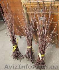 ЧЕРЕНКИ персиков/нектарина!! Большая коллекция новых сортов!! - <ro>Изображение</ro><ru>Изображение</ru> #1, <ru>Объявление</ru> #1531467