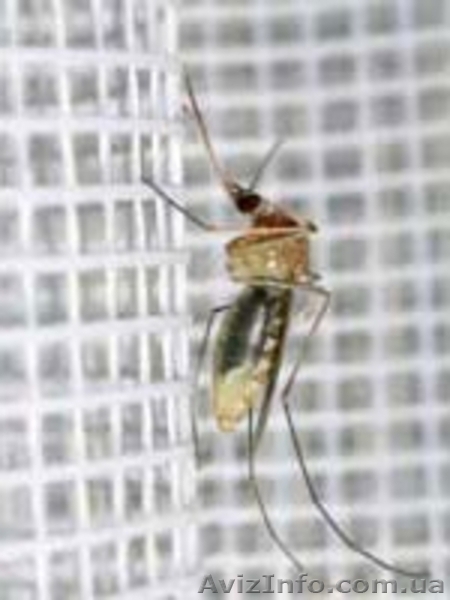 Москитные сетки в Днепре - <ro>Изображение</ro><ru>Изображение</ru> #1, <ru>Объявление</ru> #1539732