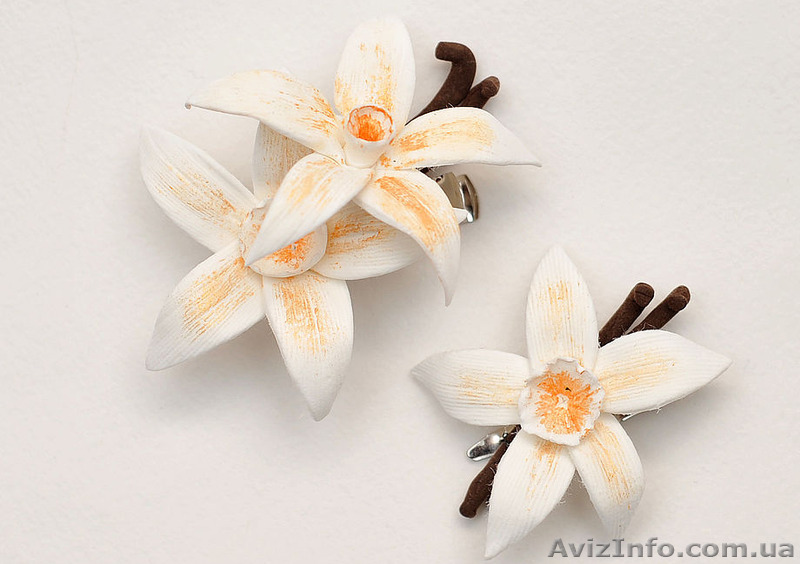 Ванилин порошкообразный от производителя - <ro>Изображение</ro><ru>Изображение</ru> #1, <ru>Объявление</ru> #1540426